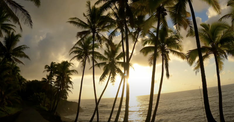 Kalapana Kaimu Black Sand Beach